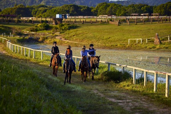 30 Mins Horse Trail Ride